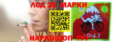 сатива Кандалакша